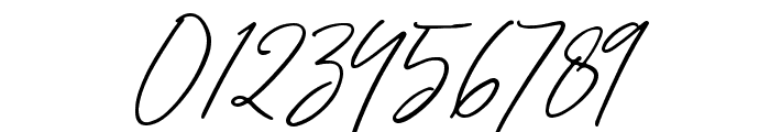 Sachlette Signature Font OTHER CHARS
