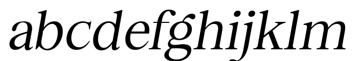 Sagitha Serif Italic Font LOWERCASE