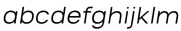 Salena Italic FONT