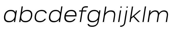 Salena Light Italic FONT