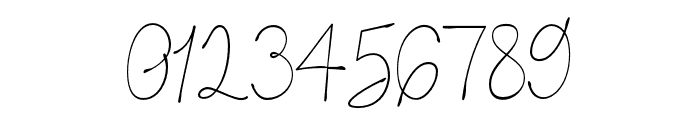 Saloma-Signature Font OTHER CHARS
