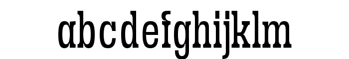 Sanford Region Light Font LOWERCASE