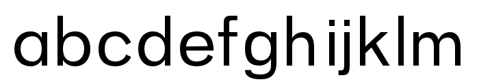 Sans-Essential regular Font LOWERCASE