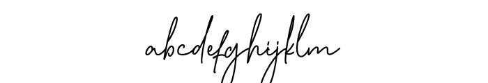 Sansburg Signature Font LOWERCASE