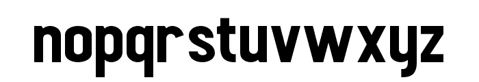 Santype-Regular Font LOWERCASE