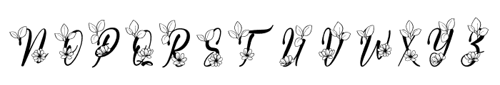 Saylendra Monogram Font LOWERCASE