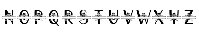 Scott Helpy Monogram Font LOWERCASE
