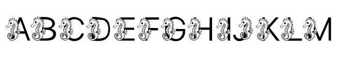 Sea Horse Font UPPERCASE