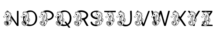 Sea Horse Font UPPERCASE