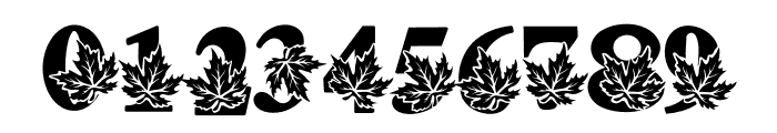 Season fall leaf Font OTHER CHARS