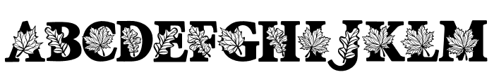 Season fall leaf Font UPPERCASE