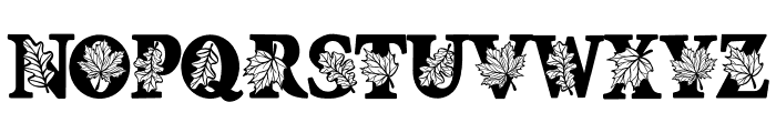 Season fall leaf Font UPPERCASE
