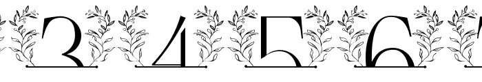 Secret Leaves Line Monogram Font OTHER CHARS
