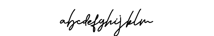Sefiola-Regular Font LOWERCASE