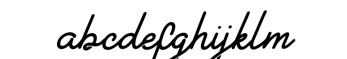 Selylotime Italic Font LOWERCASE