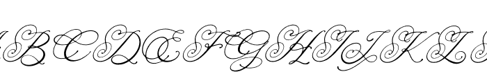 Senailly Italic Font UPPERCASE