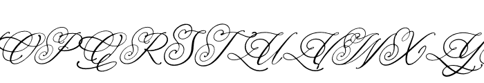 Senailly Italic Font UPPERCASE