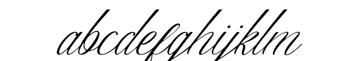 Senailly Italic Font LOWERCASE