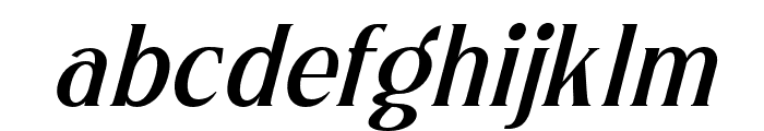 Servegin-Italic Font LOWERCASE