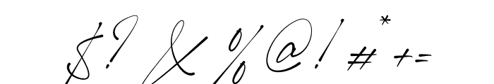 Shamson Signature Font OTHER CHARS