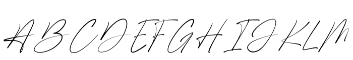 Shamson Signature Font UPPERCASE