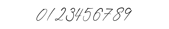 Shatoshi Signature Font OTHER CHARS