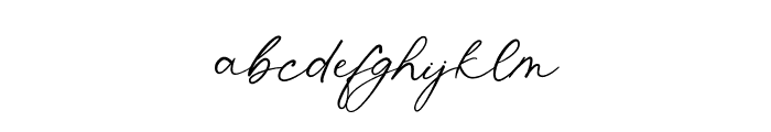 Shatoshi Signature Font LOWERCASE
