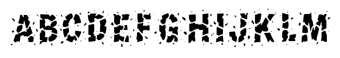 Shattered Smashed By Sq Regular FONT