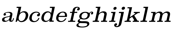 Shenandoah Clarendon Light Italic Font LOWERCASE