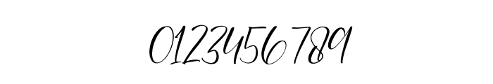 Shenaritta Italic Font OTHER CHARS