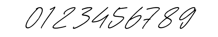 Sheylamte Italic Font OTHER CHARS
