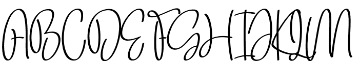 Signature Applicant Font UPPERCASE