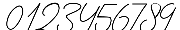 Signature Collection Font OTHER CHARS