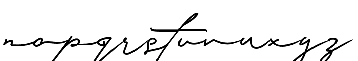 Signature Collection Font LOWERCASE