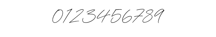 Signature Forest Font OTHER CHARS