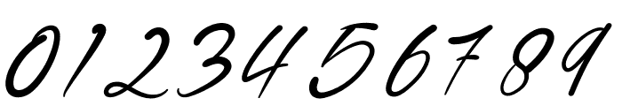 Signature Handmade Font OTHER CHARS