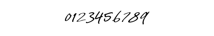Signature Script 06 Font OTHER CHARS
