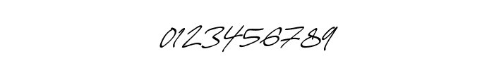 SignatureScript-05 Font OTHER CHARS