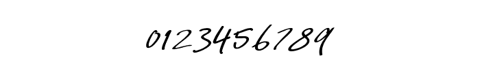 SignatureScript-06 Font OTHER CHARS