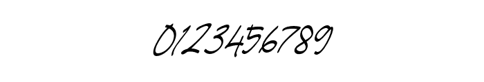 SignatureScript-08 Font OTHER CHARS