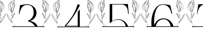 Simple Floral Line Monogram Font OTHER CHARS