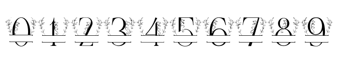 Simple Leaves Monogram Font OTHER CHARS