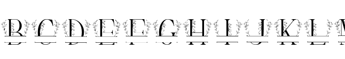 Simple Leaves Monogram Font LOWERCASE