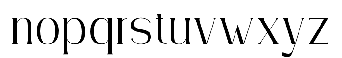SimplyConception-Light Font LOWERCASE