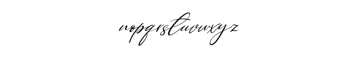 Single Signature Thin Tilted Font LOWERCASE