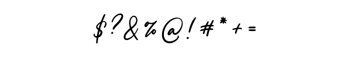 Single Signature Font OTHER CHARS