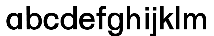 Sinial regular Font LOWERCASE