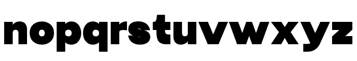 Sirloin Bold Font LOWERCASE