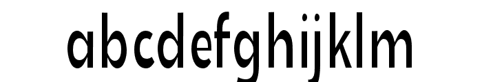SkinnyCat FONT