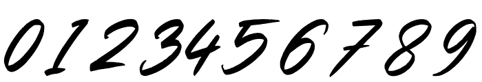 Slash Signature Font OTHER CHARS